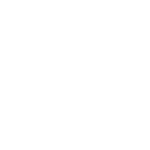 BARMER